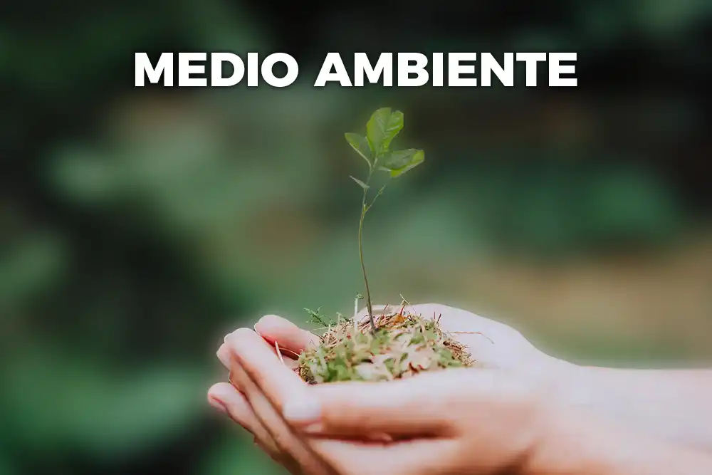 Compromiso Medio Ambiente