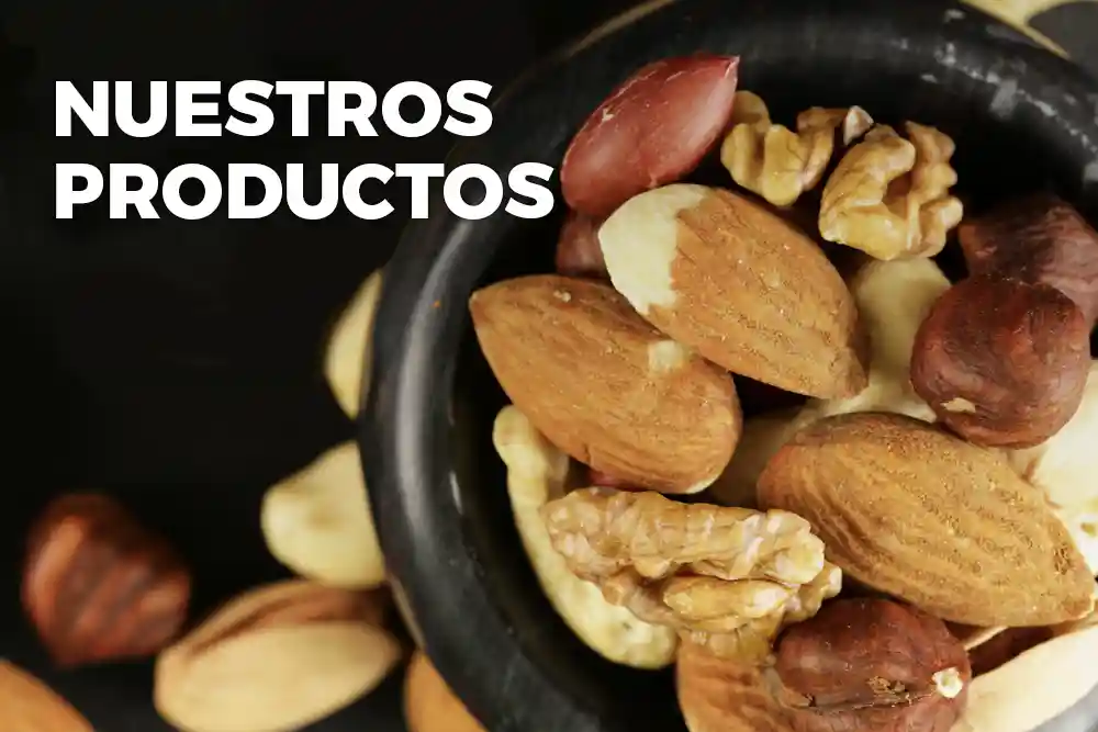 Nuestros Productos